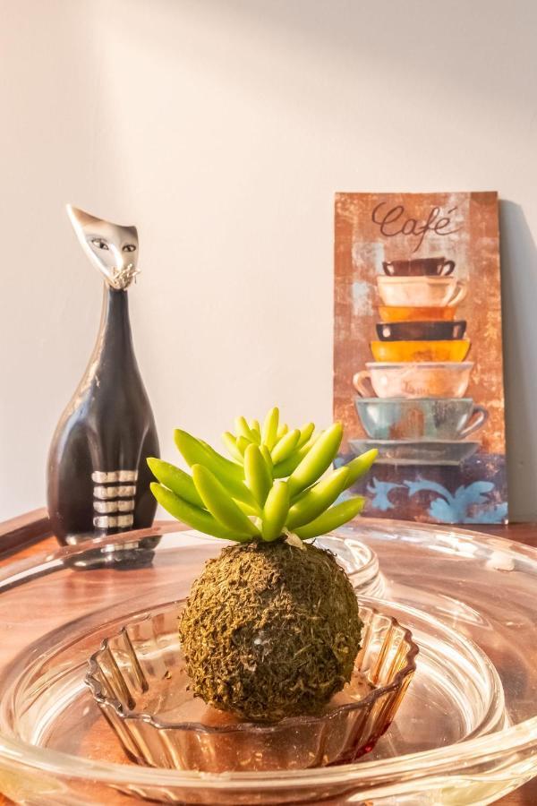 Delightful Flat Close To Galata 2 Mins To Metro * Istanbul